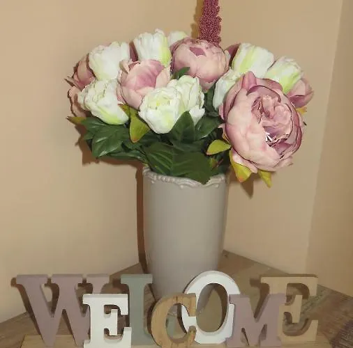 Two Bedroom Downtown Ivanovi