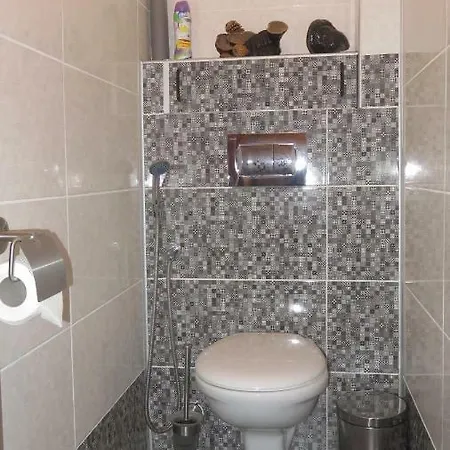 Two Bedroom Downtown Ivanovi * فارنا